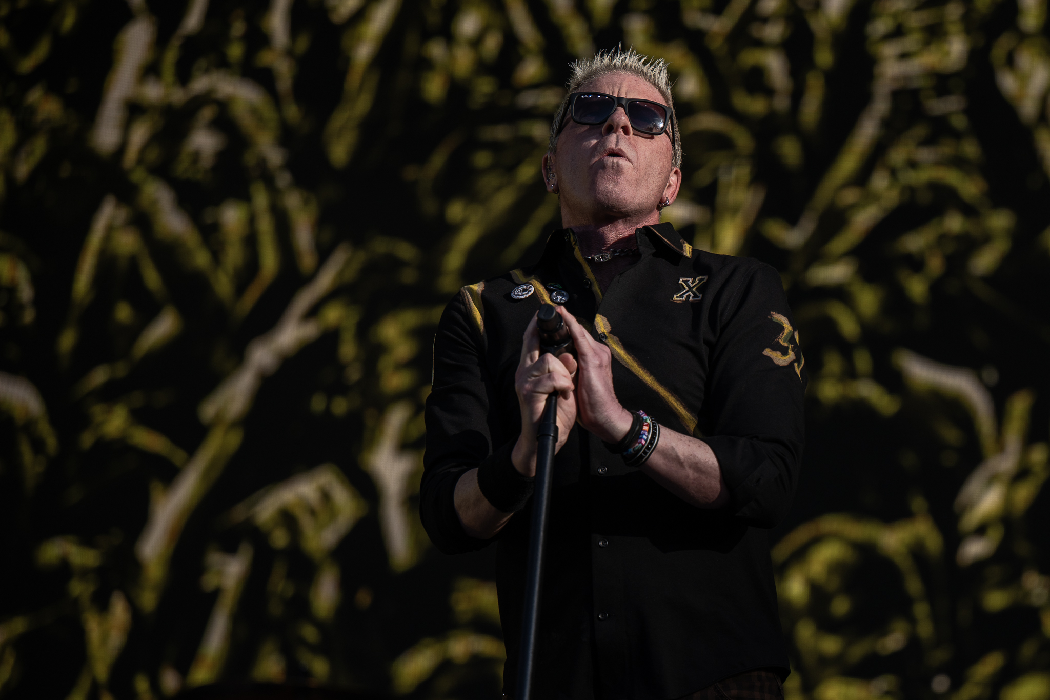 The Offspring
