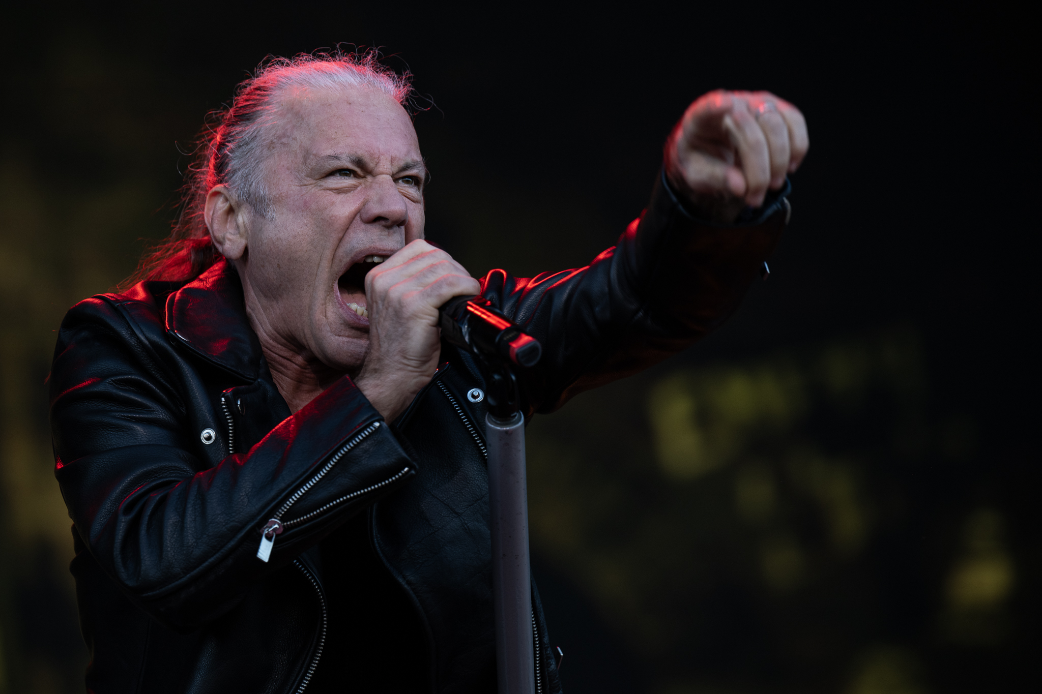 Concert photo of Iron Maiden