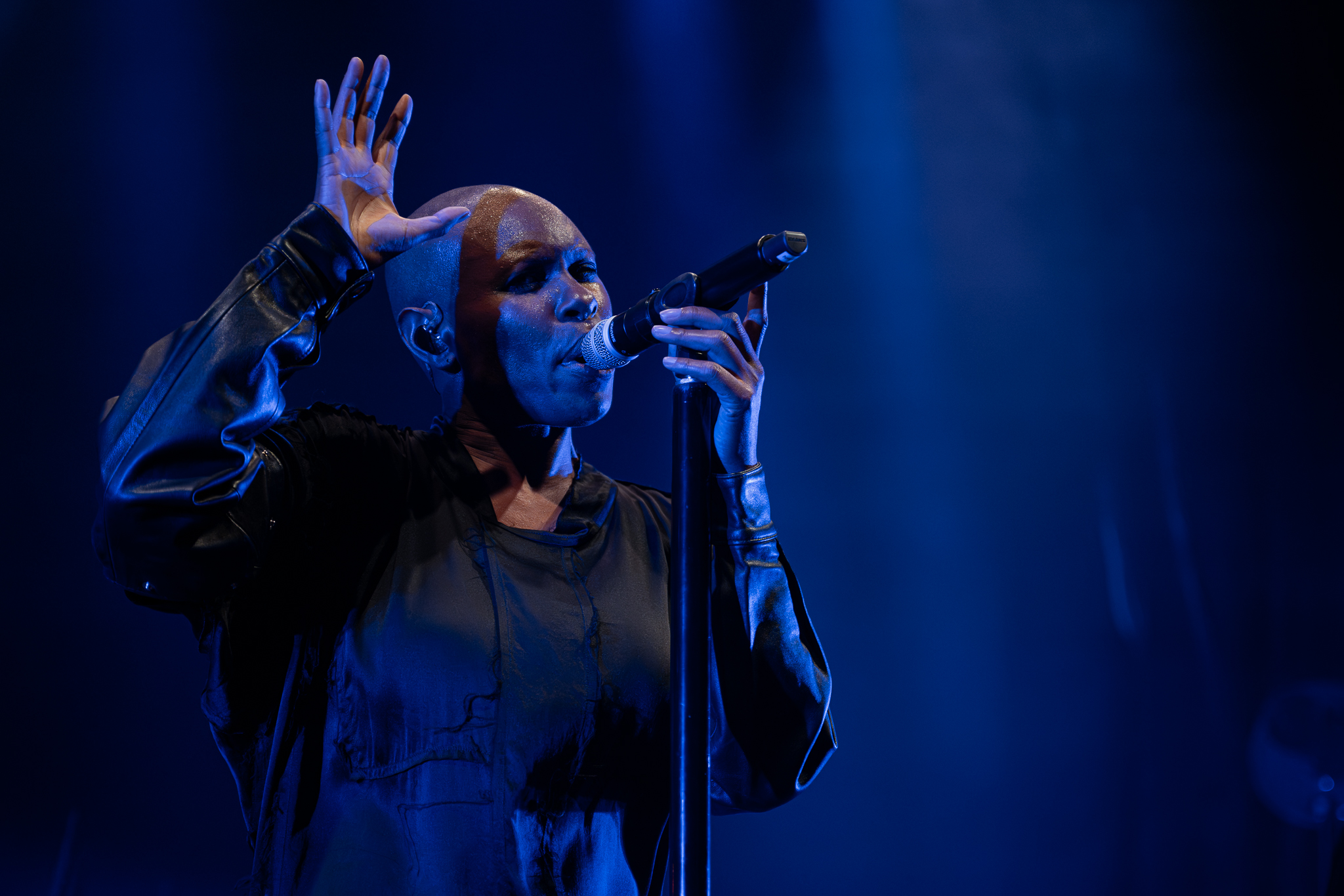 Concert photo of Skunk Anansie